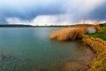 Golden reed on lake shore, dramatic sky with rain water streams on horizon Royalty Free Stock Photo