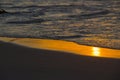 Golden reflection on beach sand after wave crash Royalty Free Stock Photo