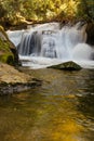 Golden reflection in the pool in front of East Fork Waterfalls in North Carolina in fall.