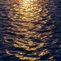 Golden Reflections on Water Captivating Ocean Surface with Light Dancing across Waves and Royalty Free Stock Photo