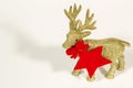 Golden reindeer with a red star on a white background. Christmas card  gift card Royalty Free Stock Photo