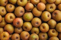 Golden reinette apples in a crate