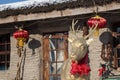 Golden rentier in front of chinese building Royalty Free Stock Photo