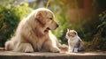 Golden Retriever with Cat