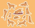 Golden Retriever In Different Poses Stickers Set. Friendly Pet Dog Digging Soil, Sitting, Lying And Gnaws Bone, Sleeping Royalty Free Stock Photo