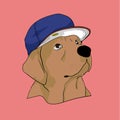 Golden retriever dog with cool cap Royalty Free Stock Photo