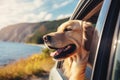 A Golden Retriever dog enjoys a car trip, peeking out the window with curiosity during a summer vacation