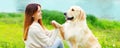 Golden Retriever dog giving paw to hand owner woman on grass training outdoors Royalty Free Stock Photo