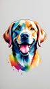 Colorful Labrador Retriever dog illustration on watercolor splash isolated on white background Royalty Free Stock Photo