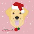 Golden Retriever dog with red Santa`s hat and Chistmas toy balls