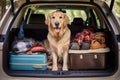 Golden Retriever Dog Sitting in Car Trunk, Ready for a Vacation Trip. Generative ai Royalty Free Stock Photo