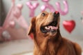 Golden Retriever dog with a small red heart on its nose. Valentines day dog.