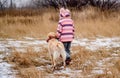 Golden retriever dog walking beside girl Royalty Free Stock Photo