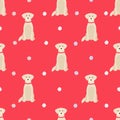 Golden retriever dogs in different poses and coat colors. Seamless pattern. Adult goldies puppy set. Vector illustration Royalty Free Stock Photo