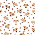 Golden retriever dogs muzzle seamless pattern. Royalty Free Stock Photo