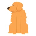 Golden retriever icon cartoon vector. Puppy dog