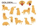 Golden retriever,dog in action,happy dog Royalty Free Stock Photo