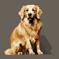 Golden Retriever Vector Art In Painterly Style Royalty Free Stock Photo