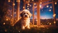 golden retriever night highly intricately detailed photograph of Happy little orange havanese puppy dog is sitting in the window