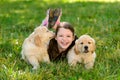 Golden retriever puppies and kid