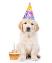 Golden retriever puppy in birthday hat with cake looking at camera. isolated on white background