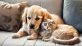 Golden retriever puppy cuddeling with cute cat kitty on a cozy sofa