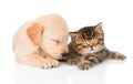 Golden retriever puppy dog and british cat sleeping together. isolated Royalty Free Stock Photo