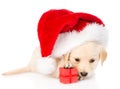 Golden retriever puppy dog with gift and santa hat. isolated Royalty Free Stock Photo