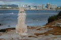 A Golden Retriever puppy dog looks out over a nice ocean view