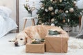 Golden retriever puppy dog nap on white coat near Christmas tree Royalty Free Stock Photo