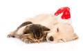 Golden retriever puppy dog with santa hat and british cat sleep together. isolated Royalty Free Stock Photo