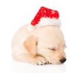 Golden retriever puppy dog with santa hat. isolated Royalty Free Stock Photo