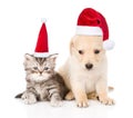 Golden retriever puppy dog and tabby cat with red christmas hats sitting together. isolated on white background Royalty Free Stock Photo