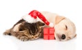 Golden retriever puppy dogand british cat with santa hat and gift. isolated Royalty Free Stock Photo