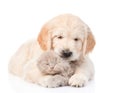 Golden retriever puppy hugging a small kitten. isolated on white background Royalty Free Stock Photo