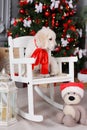 A Golden Retriever puppy near Christmas tree Royalty Free Stock Photo