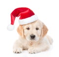 Golden retriever puppy in red christmas hat. isolated on white background Royalty Free Stock Photo