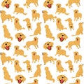 Golden retriever,seamless pattern