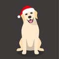 Golden Retriever is sitting there to celebrate Christmas