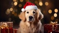 Golden Retriever small dog wearing Santa Claus hat with Christmas gifts. Golden Retriever. Horizontal Christmas banner poster. AI Royalty Free Stock Photo