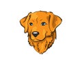 Golden Retriever vector icon illustration Royalty Free Stock Photo