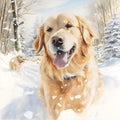 Golden retrievers happily running around in the snow.