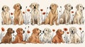 Golden Retrievers in a seamless pattern. Perfect for fabric, wallpaper, and home decor
