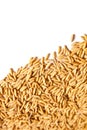 Golden rice