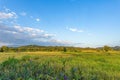 Golden Rice Field and sky with clouds has a big mountain in the northern provinces of Thailand Royalty Free Stock Photo