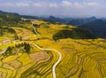 Golden rice fields in the mountain Royalty Free Stock Photo