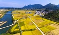 Golden rice terraced fields at harvesting time Royalty Free Stock Photo