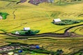 Golden rice terraced fields at harvesting time. Royalty Free Stock Photo