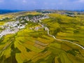 Golden rice terraced fields with the road