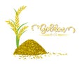 Golden rice on white background